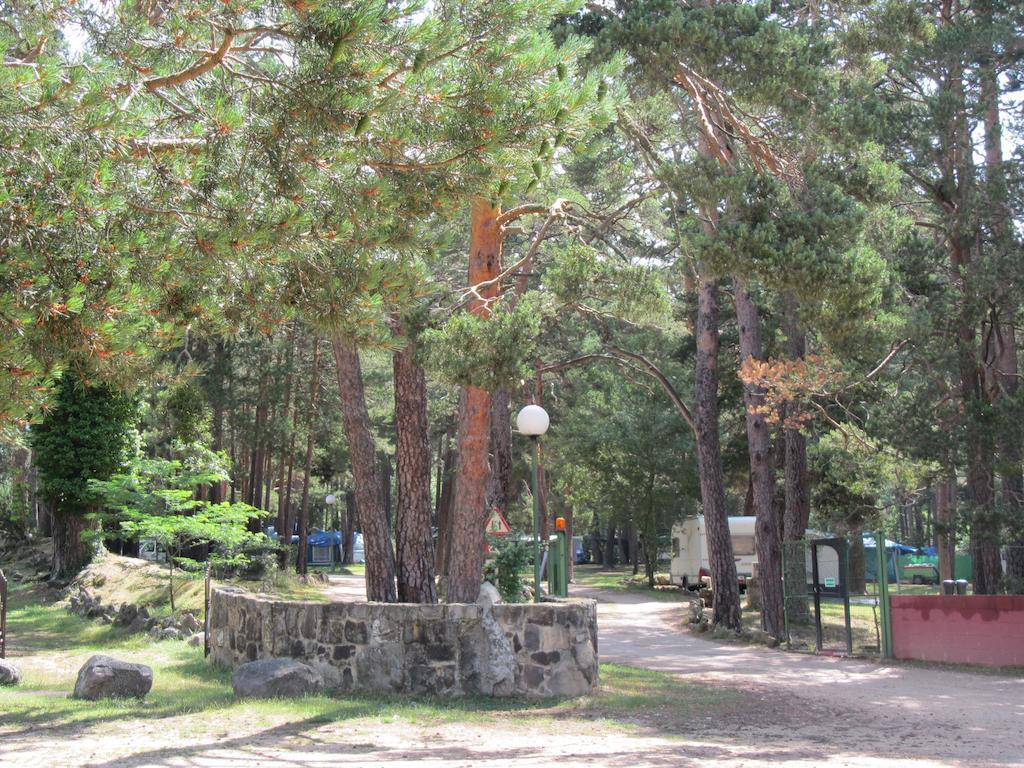 Camping Cobijo Vinuesa Dış mekan fotoğraf